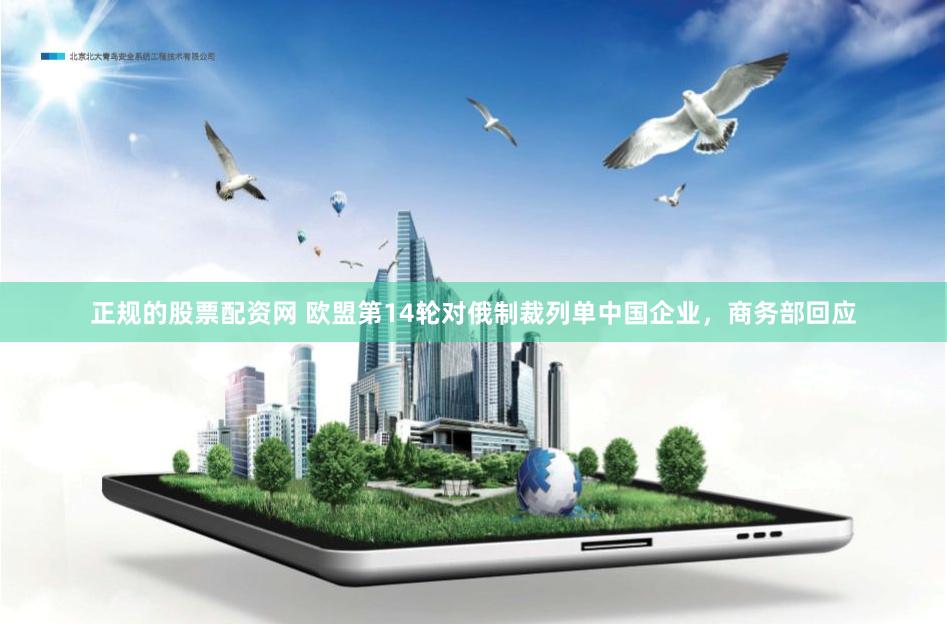 正规的股票配资网 欧盟第14轮对俄制裁列单中国企业，商务部回应
