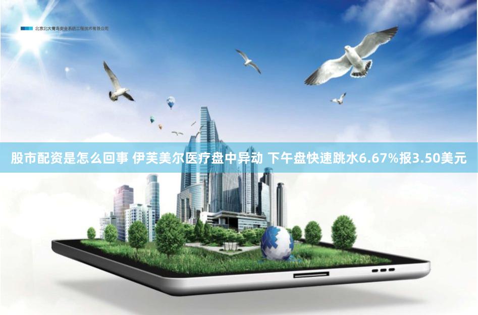 股市配资是怎么回事 伊芙美尔医疗盘中异动 下午盘快速跳水6.67%报3.50美元