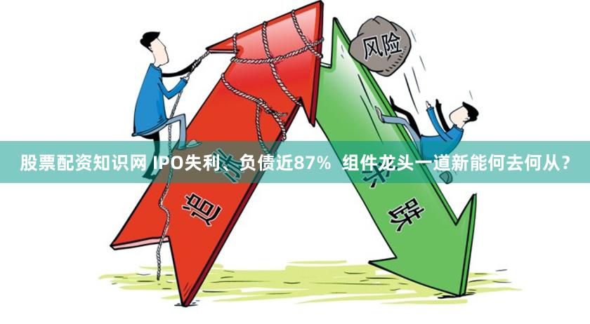 股票配资知识网 IPO失利、负债近87%  组件龙头一道新能何去何从？