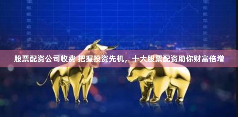 股票配资公司收费 把握投资先机，十大股票配资助你财富倍增